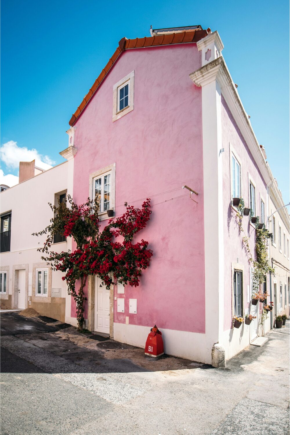Pink terraced house with red-flowered tree growing on side against blue sky