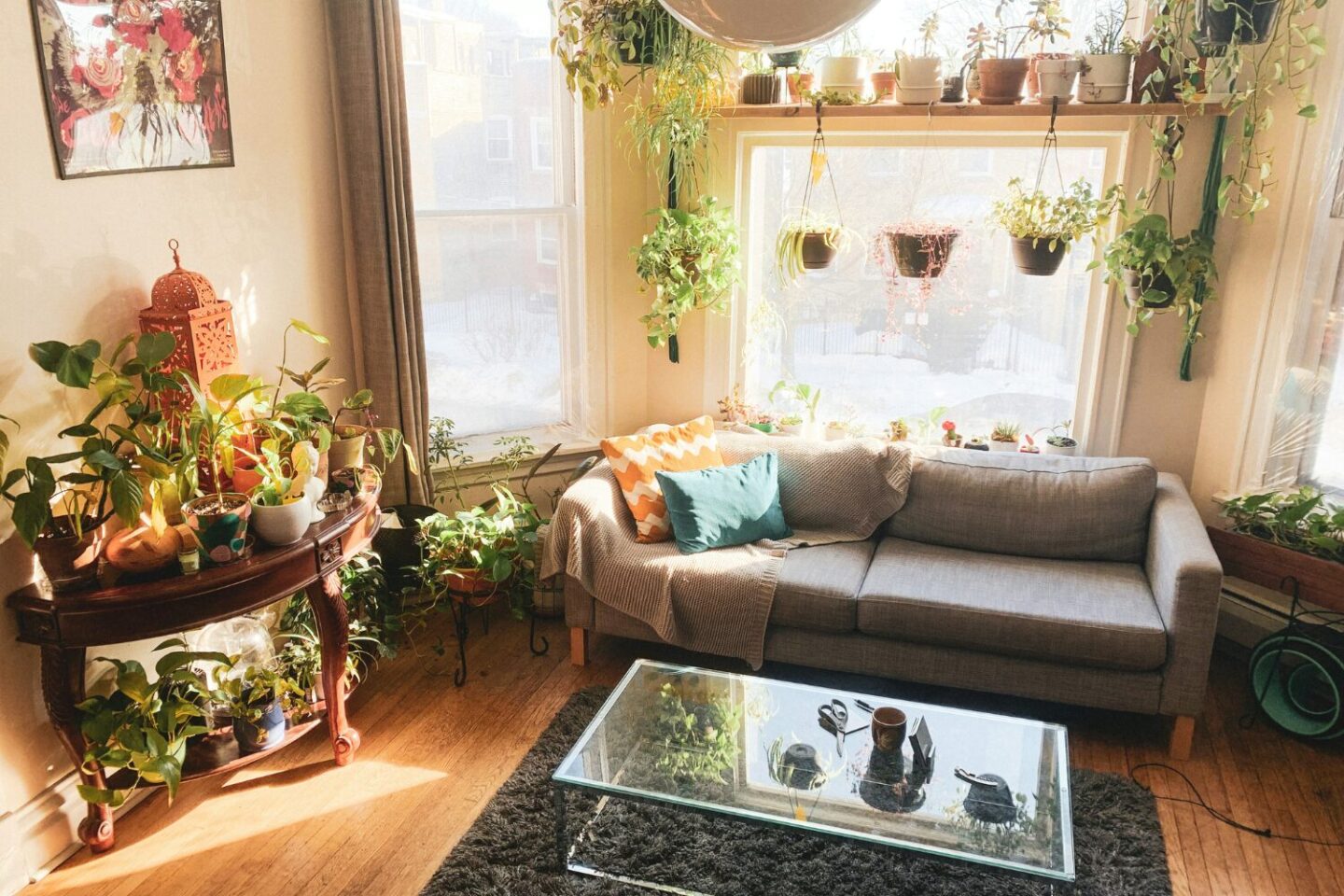 White living room with grey sofa, glass coffee table and hanging plants