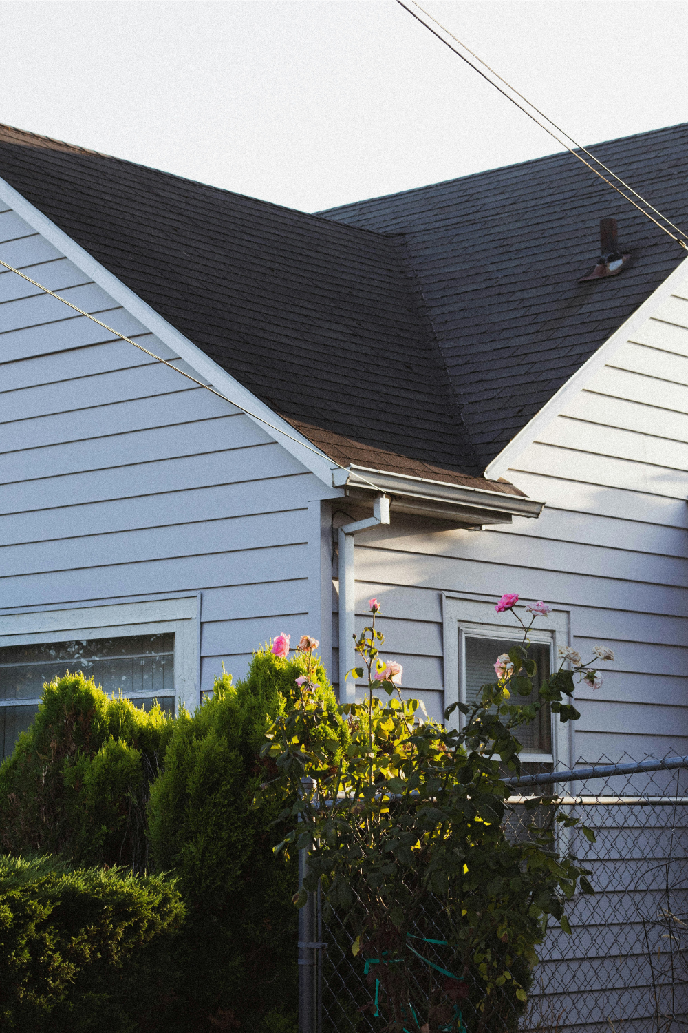 Corner of a dark roof of a white clapboard house, with pink roses in front