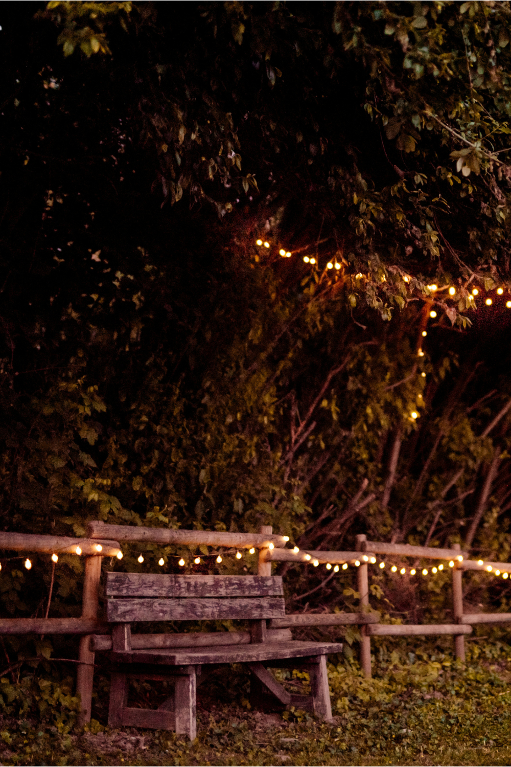 Wooden bench and fence with string lights below trees