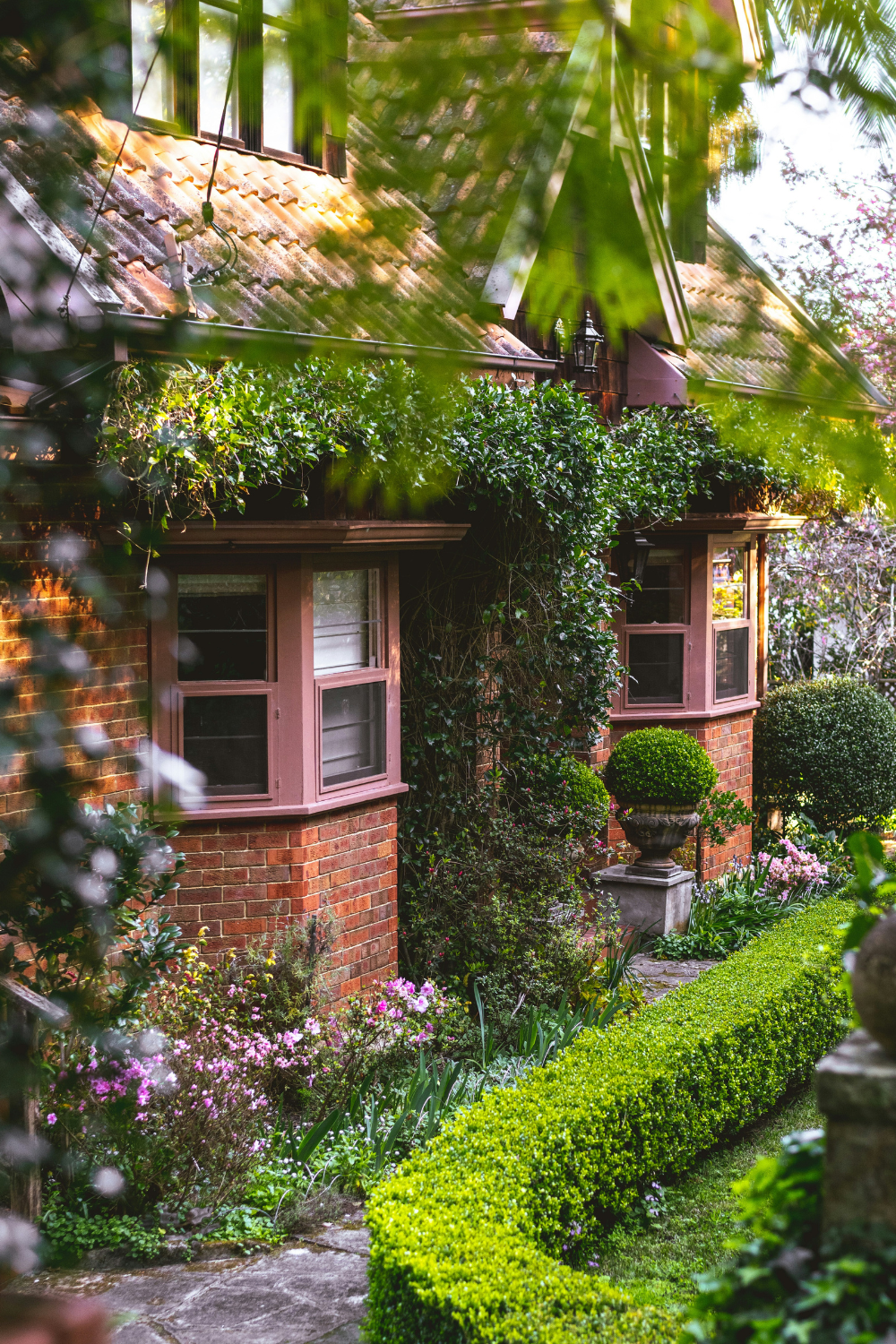Brick house with pink windowframes, vine growing on walls, and garden with pink flowers and hedge